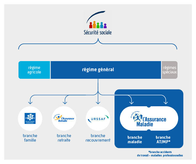 securite sociale regimes branches