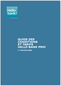 brochure compte pro hello business