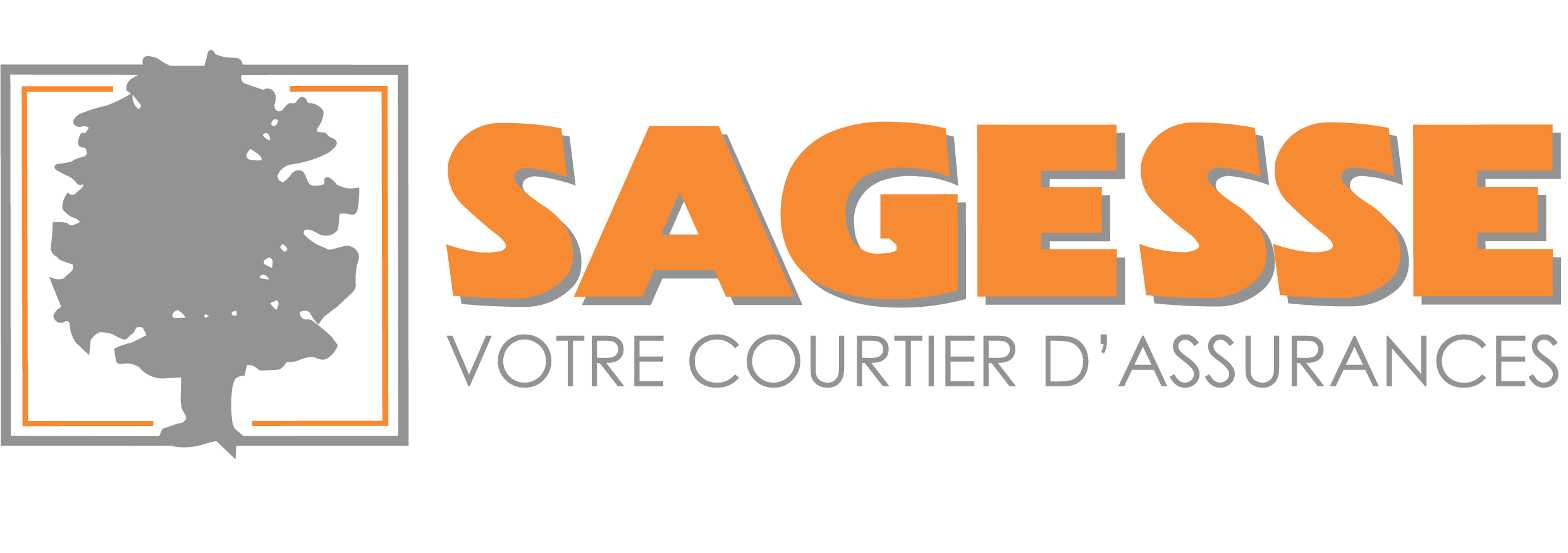 logo sagesse horizontal